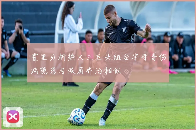 霍里分析热火三巨头组合字母哥伤病隐患与浓眉乔治相似